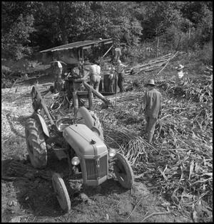 Primary view of object titled '[Tractor driven press at stir-off(1)]'.