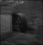 Photograph: [A water-wheel in the forest]