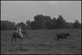 Photograph: [Photograph of a family herding a cow on horseback, 1]