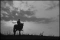 Photograph: [Silhouette of a man riding a horse, 3]