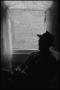 Photograph: [Photograph of a man relaxing by a window, 1]