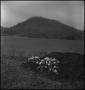 Photograph: [Mountain Funeral: Flowers on Fresh Dirt]
