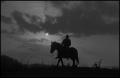 Photograph: [Silhouette of a man riding a horse, 7]