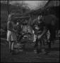 Photograph: [Shoeing a horse]