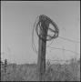 Photograph: [A fence and a roll of barbed wire, 3]