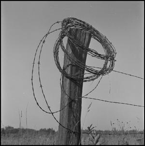 Primary view of object titled '[A fence and a roll of barbed wire, 2]'.
