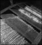 Photograph: [Water flowing over water-wheel paddles, 2]