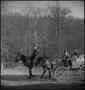 Photograph: [A mule pulling a wagon]