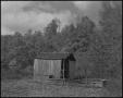 Photograph: [Shack in front of a forest]