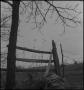 Photograph: [A dilapidated wooden fence]