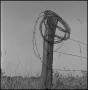 Photograph: [A fence and a roll of barbed wire]