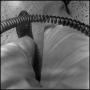 Photograph: [Photograph of a pair of legs and a telephone cord]