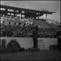 Photograph: [Maurice McAdow at the Cotton Bowl]