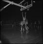 Photograph: [College Basketball Game in the Coliseum Eagles vs Drake]