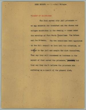 Primary view of object titled '[News Script: Jail bologna]'.