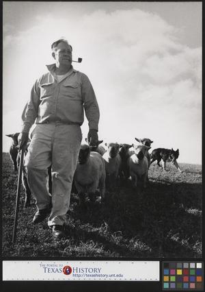Primary view of object titled '[Man with Sheep]'.