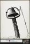 Photograph: [Bell with Chain]