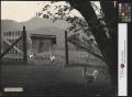 Photograph: [The Gate to Grandpa's Outhouse (4)]