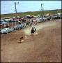 Primary view of [Cowboy roping calf]