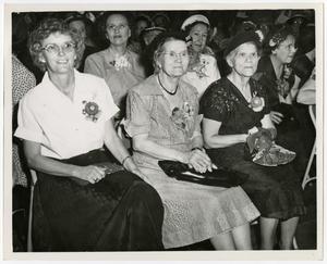 Primary view of object titled '[Women in audience]'.