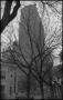 Primary view of [Buildings through trees]