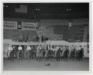 Primary view of object titled '[Lined up on horseback at NCHA Futurity]'.