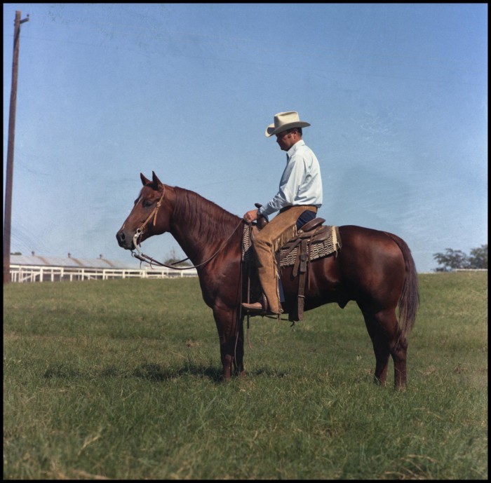 Buster Welch on Mr. San Peppy] - The Portal to Texas History