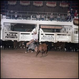 Primary view of [Royal Blue Boon at 1983 NCHA Futurity(4)]