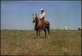 Primary view of [Bevin Boy and rider]