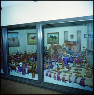 Primary view of object titled '[Trophy room at Cauble Ranch]'.