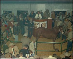 Primary view of object titled '[Auction house horse sale]'.