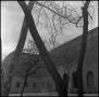 Photograph: [Business Administration Building through trees]