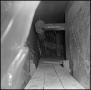 Photograph: [Crawlspace between two walls in Biology Building 1]