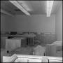 Photograph: [New Biology Building lab room after construction 4]