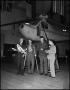 Photograph: [Four men looking at model airplanes]