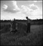 Photograph: [Two men and a dog in a field of wheat]