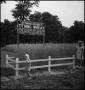 Thumbnail image of item number 1 in: '[Two children standing next to a fenced in plot of wheat]'.