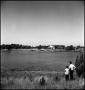 Photograph: [Two boys looking at a pond]