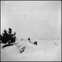 Photograph: [Skier fallen in the snow]
