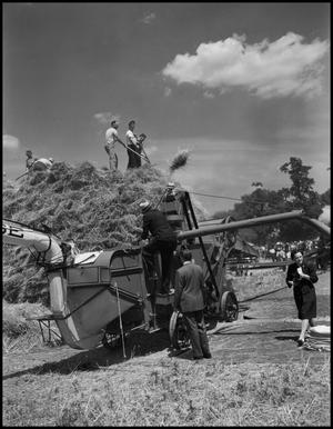 Primary view of object titled '[People by a mechanical thresher and on a pile of wheat]'.