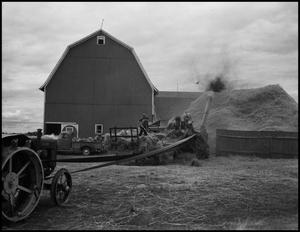 Primary view of object titled '[Thresher launching wheat stalks into a pile]'.
