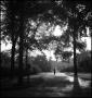 Photograph: [Man walking in the park]