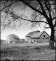 Photograph: [Old worn shed, 2]