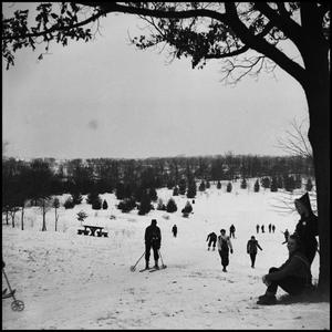Primary view of object titled '[People enjoying the snow]'.