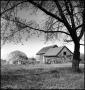 Photograph: [Old worn shed, 3]