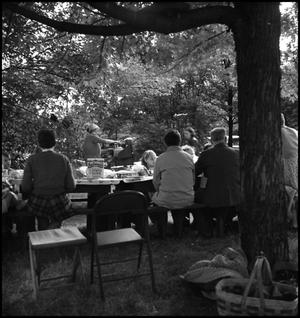 Primary view of object titled '[Large family dining together at picnic tables, 2]'.
