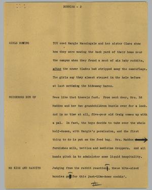 Primary view of object titled '[News Script: Bunnies]'.