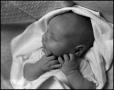 Photograph: [Newborn baby Junebug, 3]
