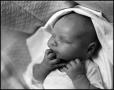 Photograph: [Newborn baby Junebug]