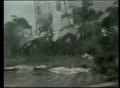 Primary view of [News Clip: China typhoon]